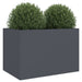 Planter Anthracite 62x40x39 Cm Cold-rolled Steel Naopki