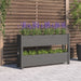 Planter Grey 112x25x66 Cm Solid Wood Pine Nxtkxk