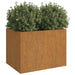 Planter Grey 62x47x46 Cm Weathering Steel Nxoppn
