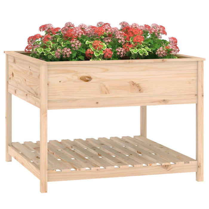 Planter with Shelf 111.5x111.5x81 Cm Solid Wood Pine Nxtnbo