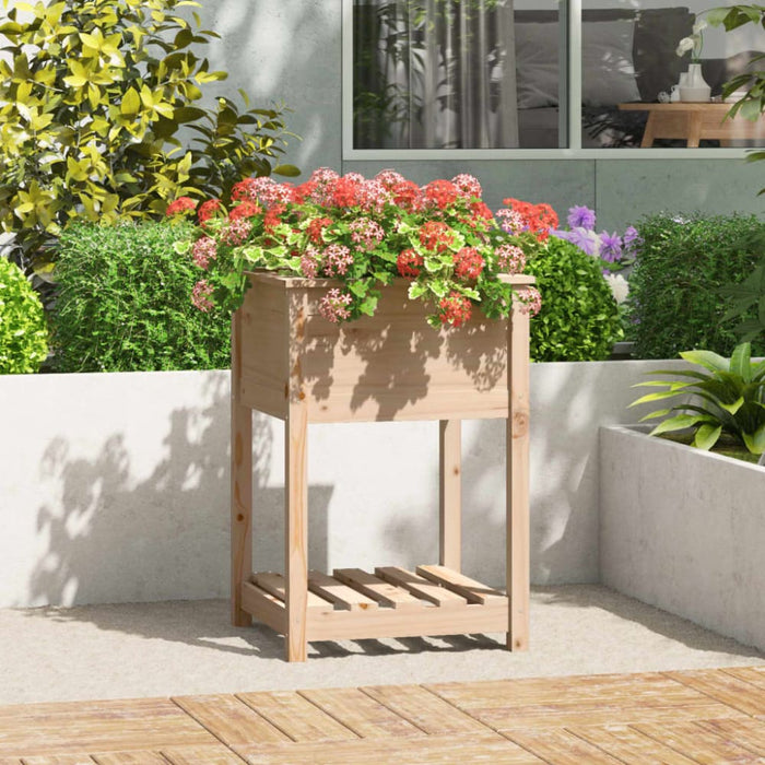 Planter with Shelf 54x54x81 Cm Solid Wood Pine Nxtiit