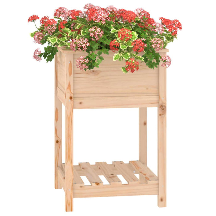 Planter with Shelf 54x54x81 Cm Solid Wood Pine Nxtiit