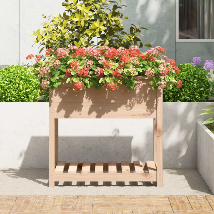 Planter with Shelf 82.5x54x81 Cm Solid Wood Pine Nxtinb