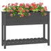 Planter with Shelf Grey 111.5x34.5x81 Cm Solid Wood Pine