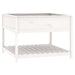 Planter with Shelf White 111.5x111.5x81 Cm Solid Wood Pine