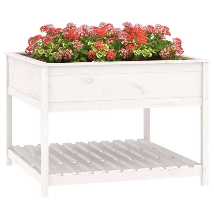 Planter with Shelf White 111.5x111.5x81 Cm Solid Wood Pine