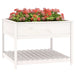 Planter with Shelf White 111.5x111.5x81 Cm Solid Wood Pine