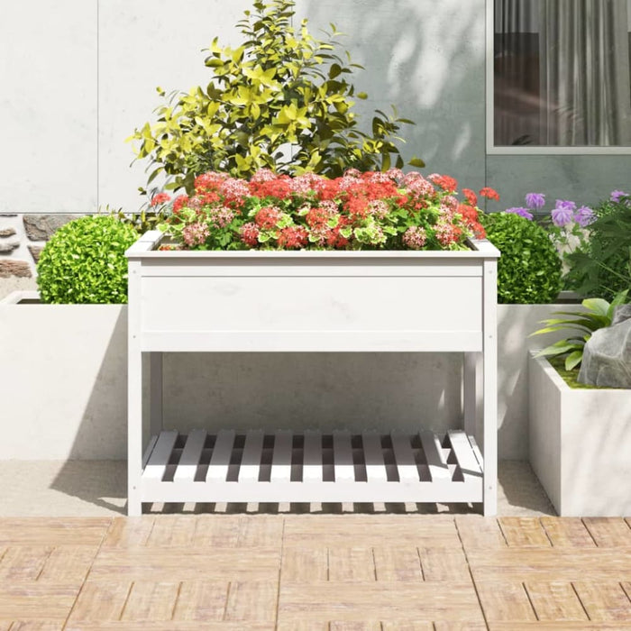 Planter with Shelf White 111.5x111.5x81 Cm Solid Wood Pine