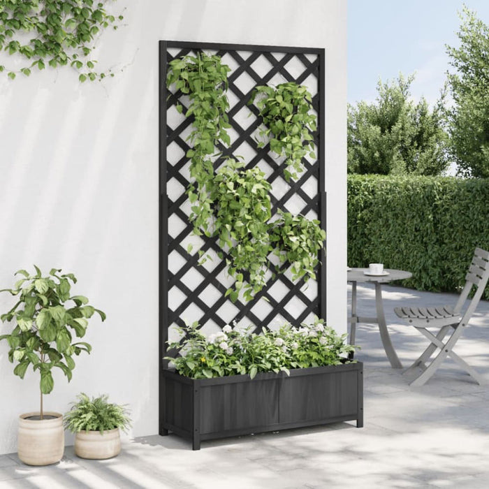 Planter With Trellis Black Solid Wood Fir Tlpano