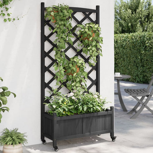 Planter With Trellis And Wheels Black Solid Wood Fir Txbilpx