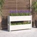 Planter White 112x25x66 Cm Solid Wood Pine Nxtkxn