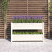 Planter White 112x25x66 Cm Solid Wood Pine Nxtkxn