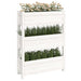 Planter White 77x25x104.5 Cm Solid Wood Pine Nxtktp