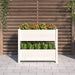 Planter White 77x25x66 Cm Solid Wood Pine Nxtkax