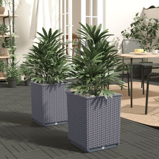 Planters 2 Pcs Dark Grey 30x30x37 Cm Polypropylene Tlaonb