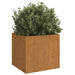 Planters 2 Pcs Grey 32x30x29 Cm Weathering Steel Nxopan