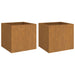 Planters 2 Pcs Grey 32x30x29 Cm Weathering Steel Nxopan