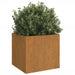 Planters 2 Pcs Grey 42x40x39 Cm Weathering Steel Nxoppb