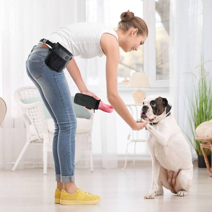 Portable Multifunctional Pet Training With Splittable Water