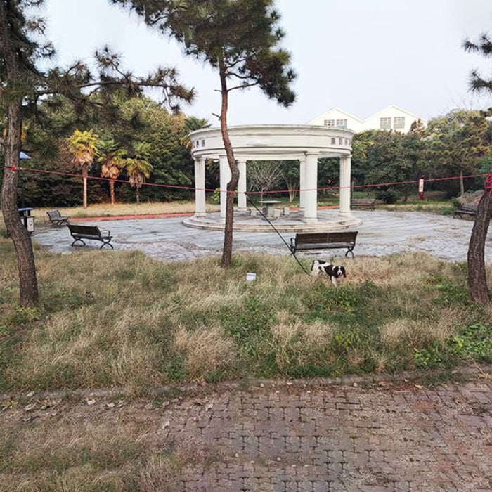 Portable Reflective Camping Cable for Dog