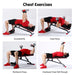 Powertrain Home Gym Bench Adjustable Flat Incline Decline