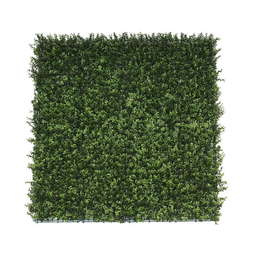 Premium Natural Buxus Hedge Panels Uv Resistant 1m x