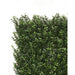 Premium Natural Buxus Hedge Panels Uv Resistant 1m x