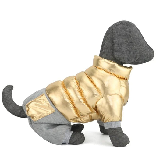 Premium Winter Dog Coat For Small Breeds