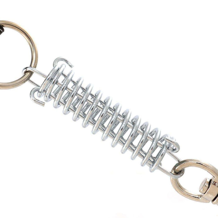 Print Dog Design Spring Buffer Leash