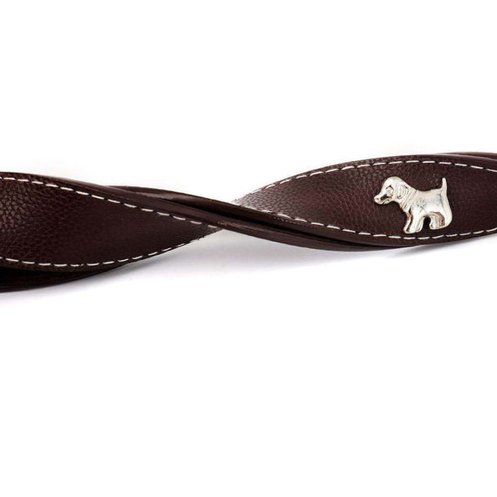 Print Dog Design Spring Buffer Leash