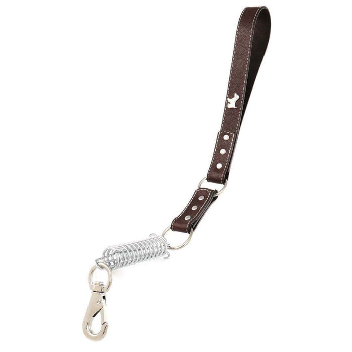 Print Dog Design Spring Buffer Leash