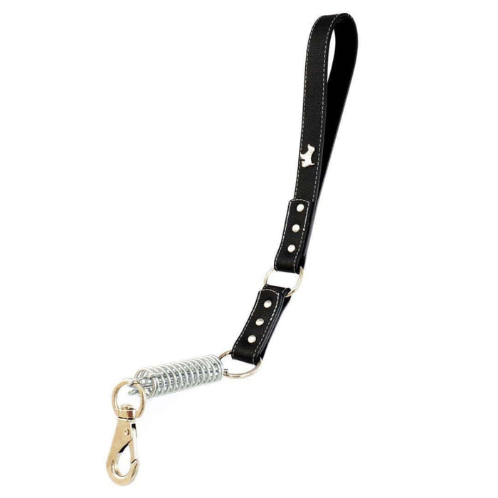 Print Dog Design Spring Buffer Leash