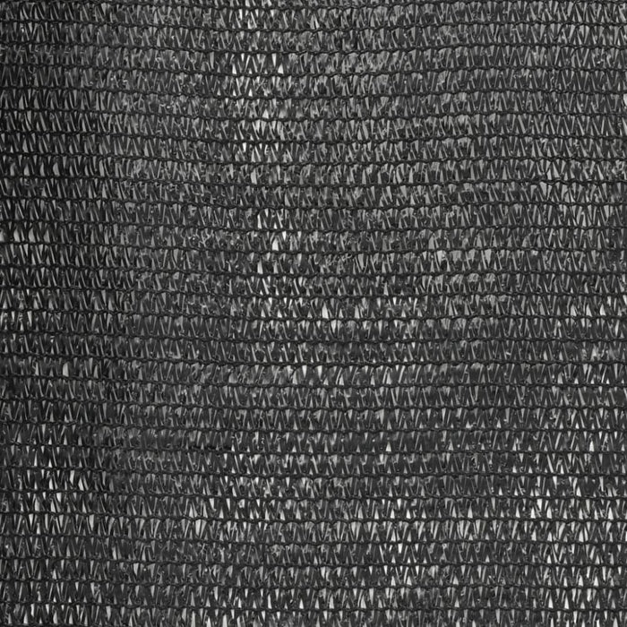 Privacy Net Hdpe 1x10 m Black Apxto