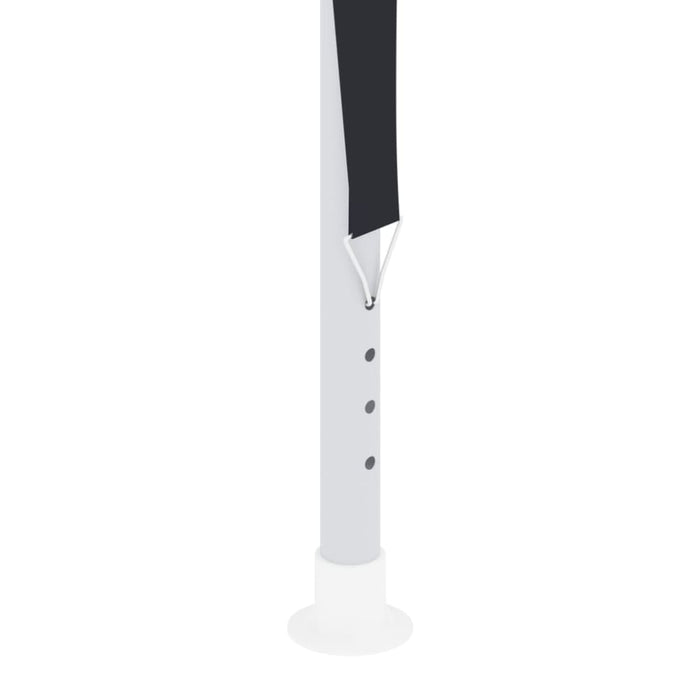 Professional Party Tent 4x6 m Anthracite 90 g M² Anpbk