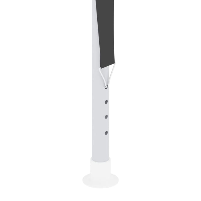 Professional Party Tent with Side Walls 2.5x2.5 m