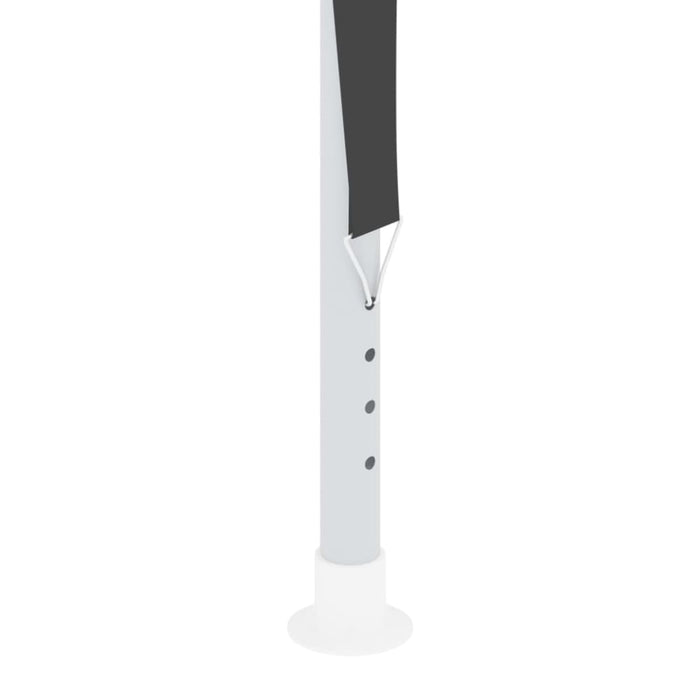 Professional Party Tent with Side Walls 2x2 m Anthracite 90