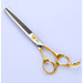 Professional Pet Scissors Straight & Thinning Curved