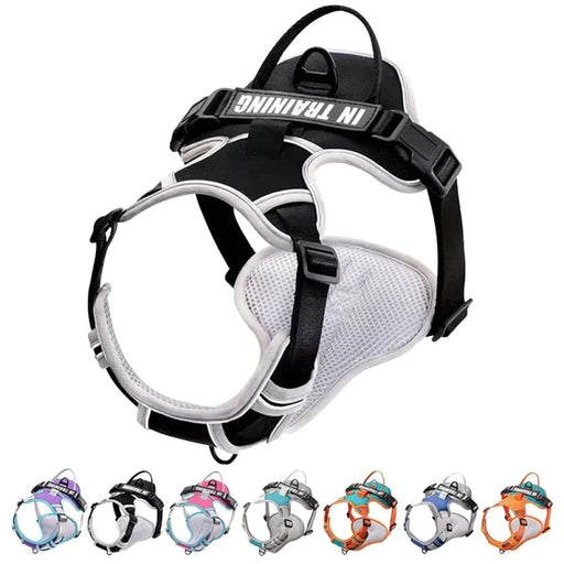 No Pull Dog Harness Easy Control Handle Soft Padded Leash
