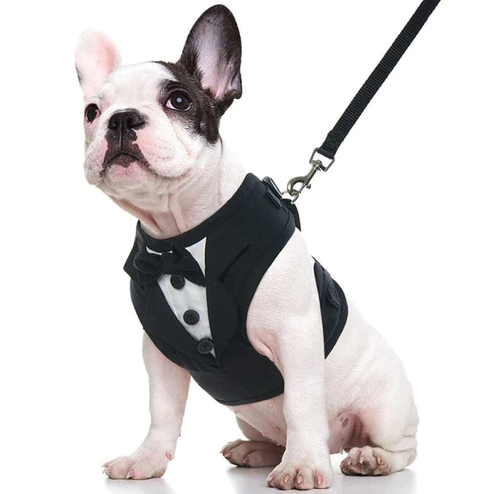No Pull Tuxedo Dog Harness Set with Leash and Bow Tie Soft