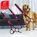 Purple Dragon Dog Grooming Scissors Set Pet Kit