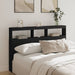 Queen Size Headboard Cabinet with Led Black 160x17x102 Cm