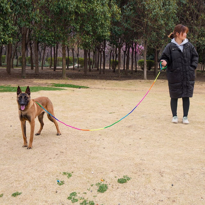 Rainbow Colour Dog Leash With Comfortable Handle
