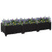 Raised Bed 120x40x23 Cm Polypropylene Tolpxn
