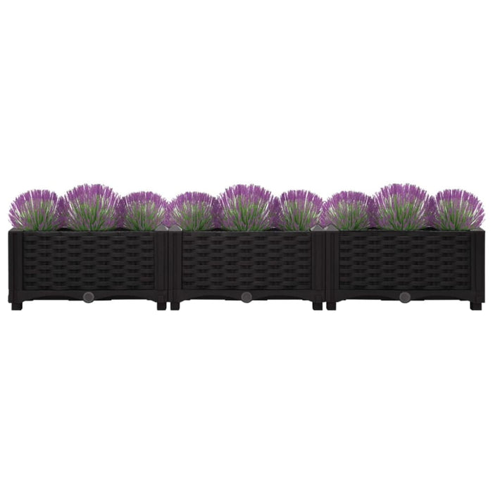 Raised Bed 120x40x23 Cm Polypropylene Tolpxn