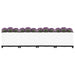 Raised Bed 160x40x38 Cm Polypropylene Opttoo