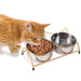 Raised Double Cat Bowls Anti Vomiting Pet Feeding Dishes