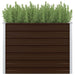 Raised Garden Bed Brown 100x100x77 Cm Galvanised Steel Apiox