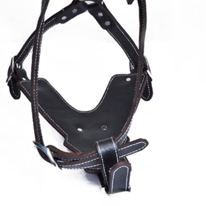 Real Leather Dog Harness with Center Metal Ring