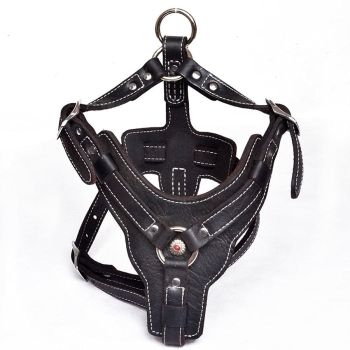 Real Leather Dog Harness with Center Metal Ring