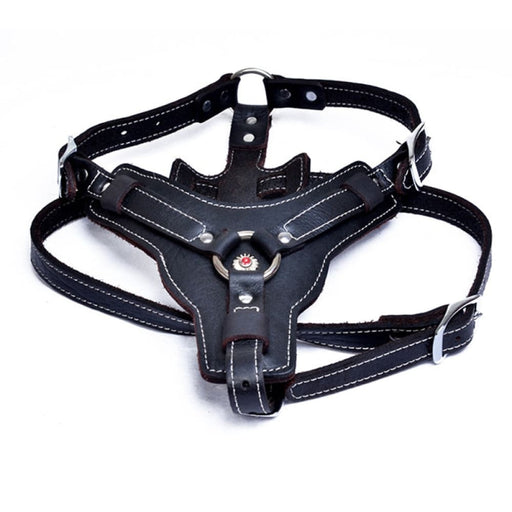 Real Leather Dog Harness with Center Metal Ring